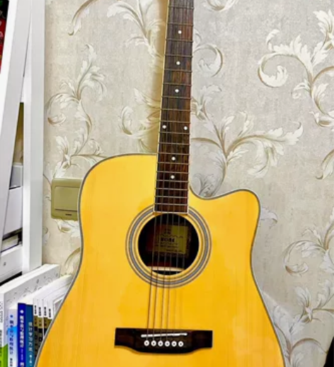 【出吉他】Shore 吉他 TS-200 ...