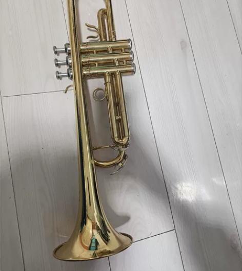 小号七成新，送消音器 感兴趣的话点“我想要...