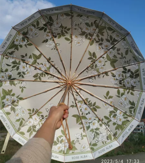 小红书ins复古高颜值新中式16骨彩胶双层...