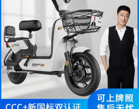 思帝诺新国标48V新款电动车电动自行车小型...