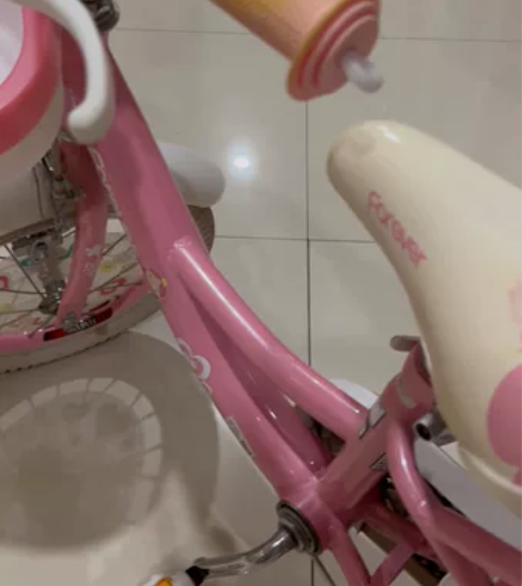 【年终盛典】永久儿童自行车女童公主款3-4-6岁宝宝小孩车子...