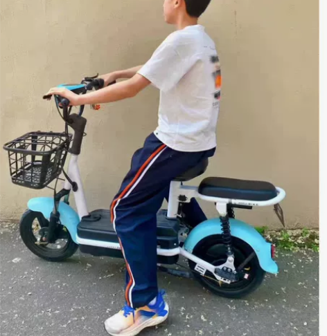 【因个人急售急售】全国包邮全新电动车爱玛小刀同款电瓶车小型男...