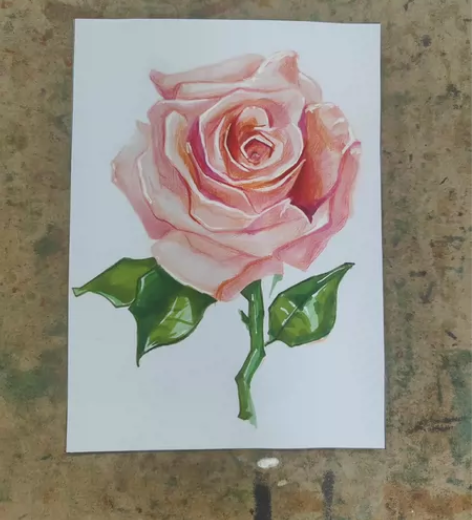 马克笔纯手绘，一朵花花，研究生在读可接画作...