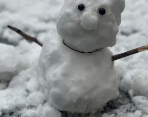 收iOS咖喱预算2k左右 tag引流致歉：...