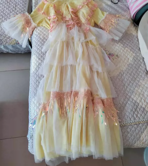 绮丽裙梦——绝版下架款花花家族原创手作刺绣...