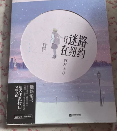 迷路在纽约小说青春文学爱情二手书籍售出不退...