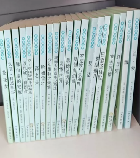 外国名著 二手书8成新以上 新书23.8一...