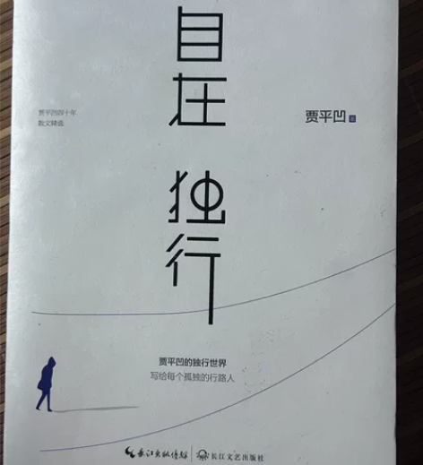 内页干净 封面完整全新 作者贾平凹当代文坛...