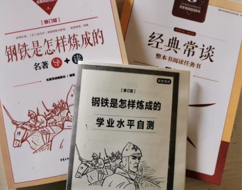 《钢铁是怎样炼成的》名著导读  重庆出版社...