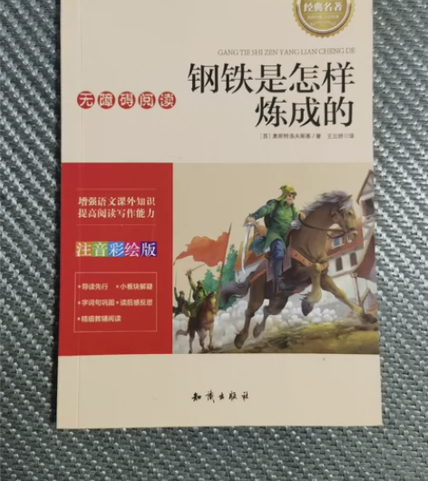 《钢铁是怎样炼成的》自家娃看的，9成新。5...