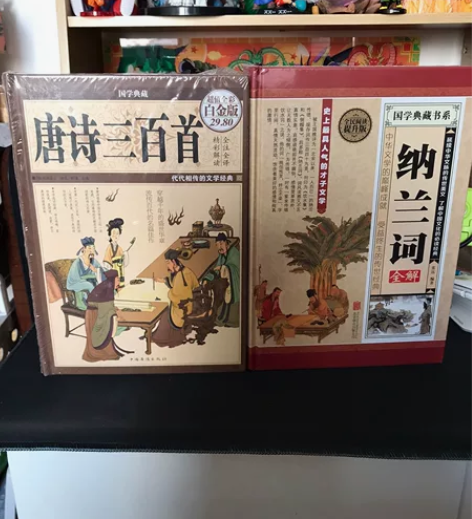 源氏物语 唐诗三百首 中华上下五千年 纳兰...