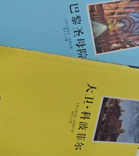 大卫`科波菲尔 巴黎圣母院/阳光阅读 两本...