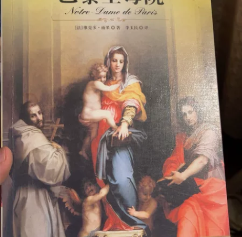 巴黎圣母院，几乎全新，可以搭配我在卖的其他...