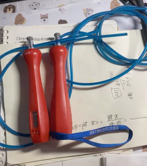 中考专用的跳绳 那时候我家长专门买给我连的...