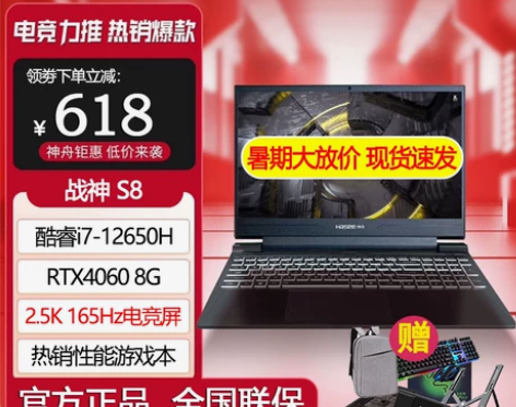 Hasee神舟战神S8D6 RTX4060...