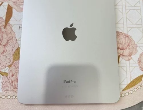 哥送的，出iPad2021 256G内存送...