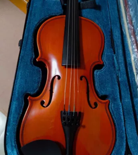 急出全新的4/4小提琴，培训班闲置没拉过，...