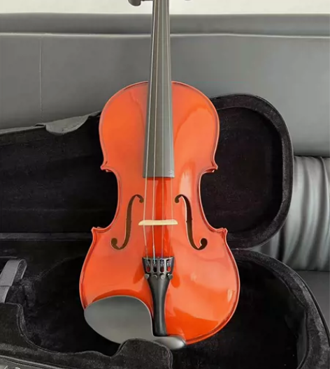 仓库到期急清仓白菜价出原价7000多的小提...