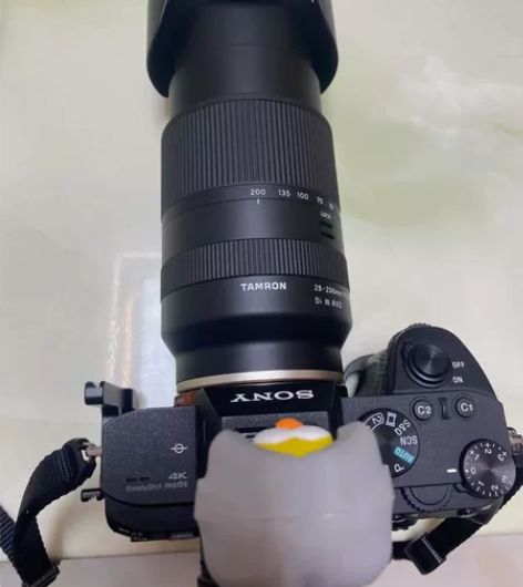 哈喽哈喽！我是你的小陈鸭！[号外][号外]...