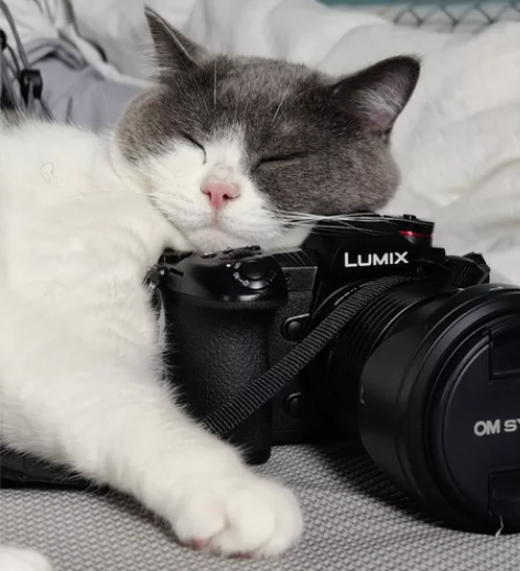 十一月份才买的，想换全画幅了，成色自定义9...