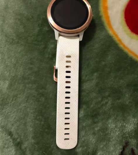 佳明Garmin vivo active3...