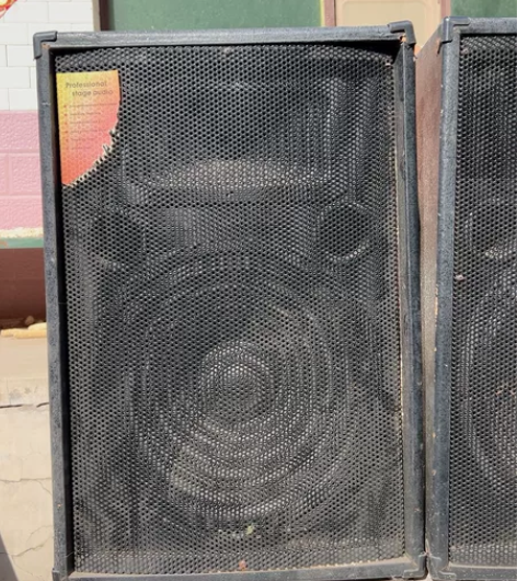 丹麦FASEN品牌音响一对，闲置 便宜出，...