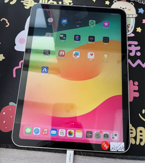 ipad2022 256G 插卡 小花 扩...