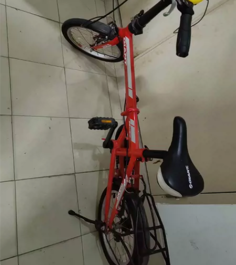 95成新捷安特折叠自行车。自由升降，成人儿...