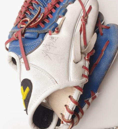 DL 棒球手套 棒球 签名款 亚洲棒球协会...