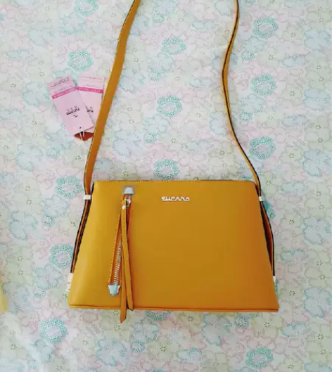 全新的!!!啄木鸟包包,可斜挎,正品包包,...