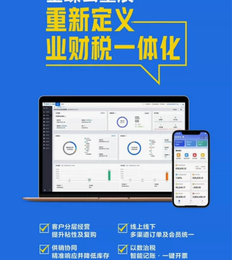 金蝶精斗云 云星辰，云会计，云进销存，全部...