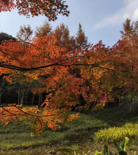 杭州植物园门票 4元 电子门票随买随用，接...