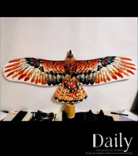 免费盘鹰入门教学。有啥不清楚的欢迎私聊我交...