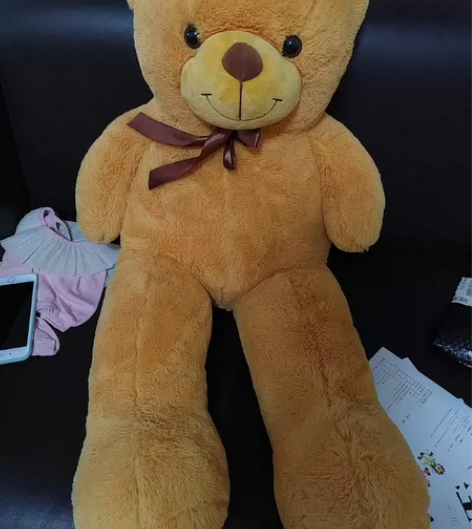 游乐场购买，购入价200，家里空间小没地方...