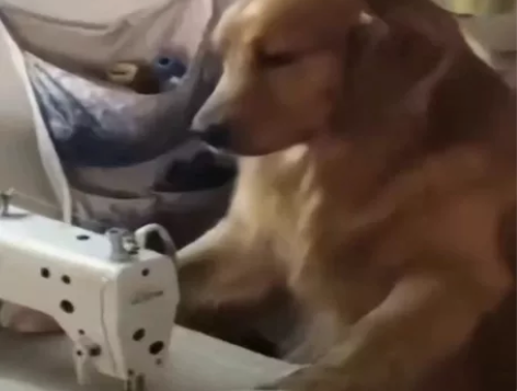 手作娘接单，裁缝接单，服装定制，成衣定制，...