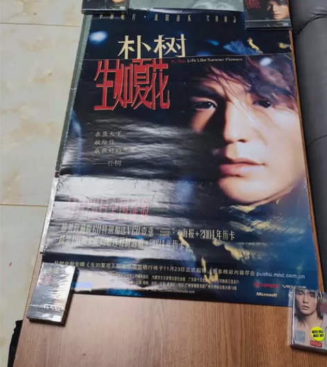 朴树 生如夏花 原版大海报 此张为2003...