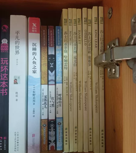 旧书 但几乎都没翻过 九成新 这些书都是中...