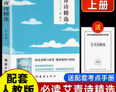 全4册九年级必读书艾青诗精选水浒传简爱儒林...