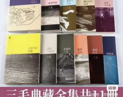 【全新未拆】三毛全集11册 撒哈拉的故事,...