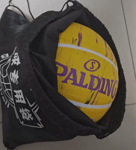 篮球，99新，打气筒，气针，球袋都在。 就...