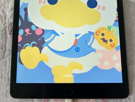 小女生个人闲置ipad2021款256g送...