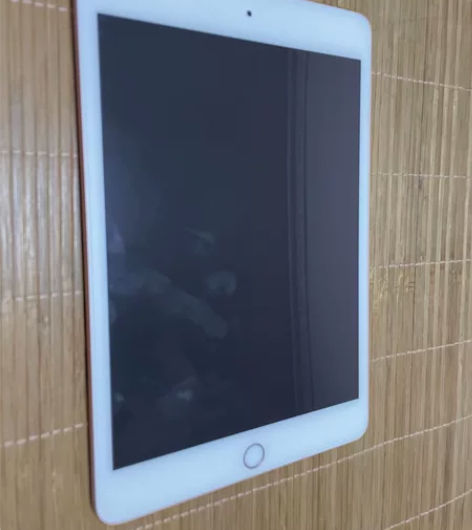 自用 iPad Mini 5 美版无锁 2...
