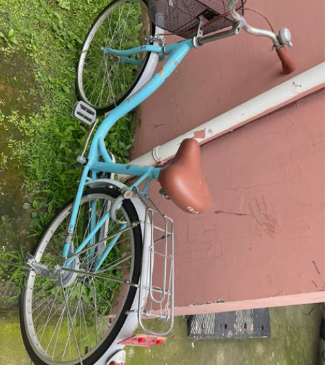 凤凰自行车，基本全新，限本地自提，260元...