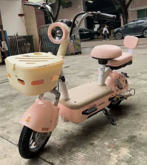 低价处理，飞鸽电动车，全新，48v12a，...