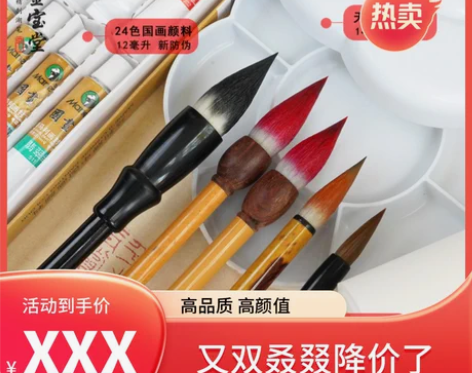 国画花鸟写意专用毛笔套装颜料宣纸初学者大中...