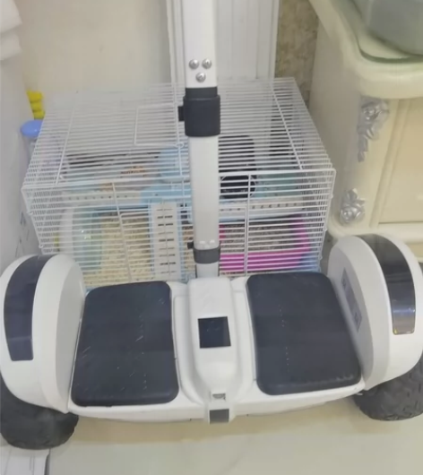 领奥电动平衡车，带蓝牙控制，音响，灯光灯等...