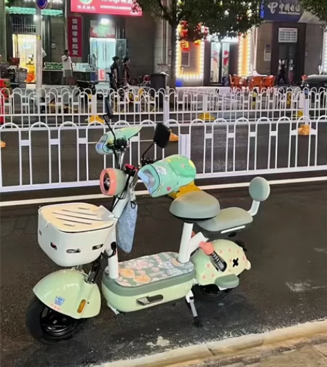 《个人自骑转让》雅迪新国标二手电动自行车 ...