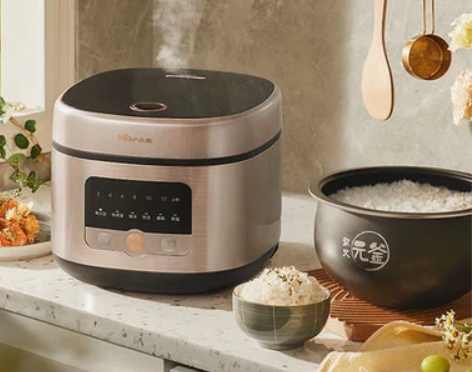 Bear/小熊 DFB-P50K5