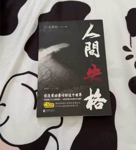 正版人间失格书原著原版完整版外国小说青春文...