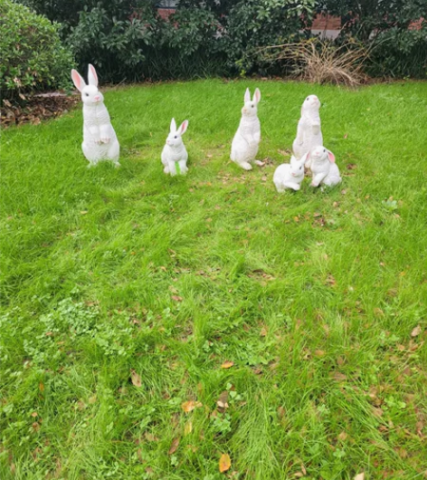 腾讯视频会员   扫码授权一个码五块钱，两...